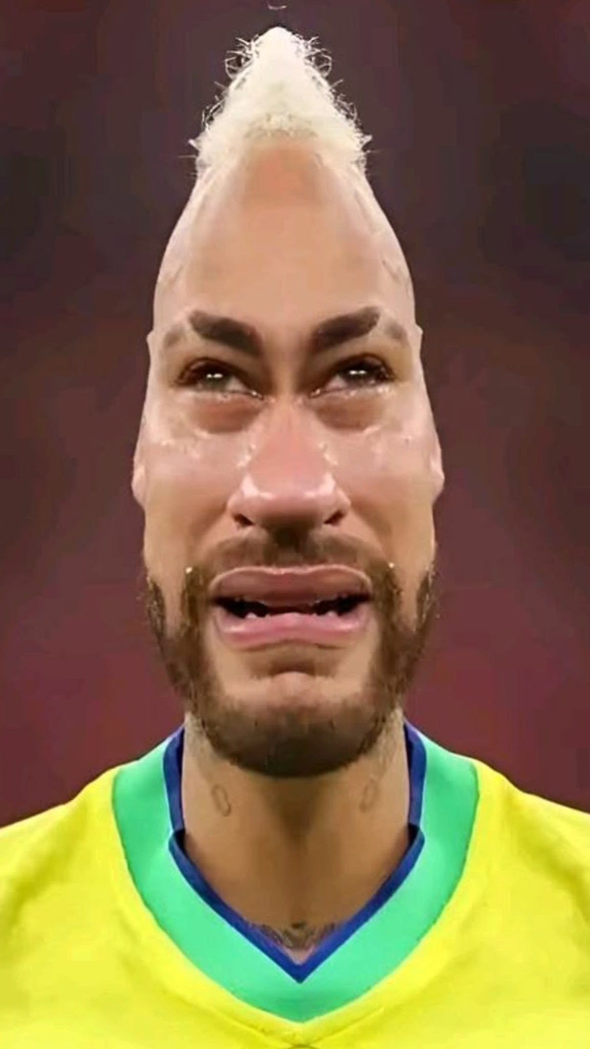 dscss2